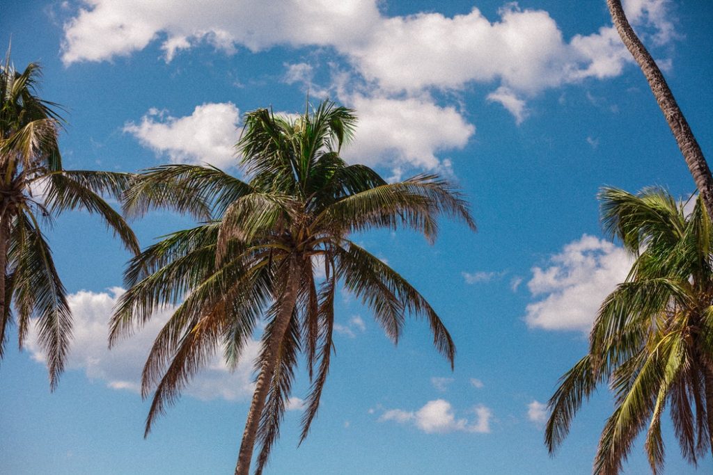 summer