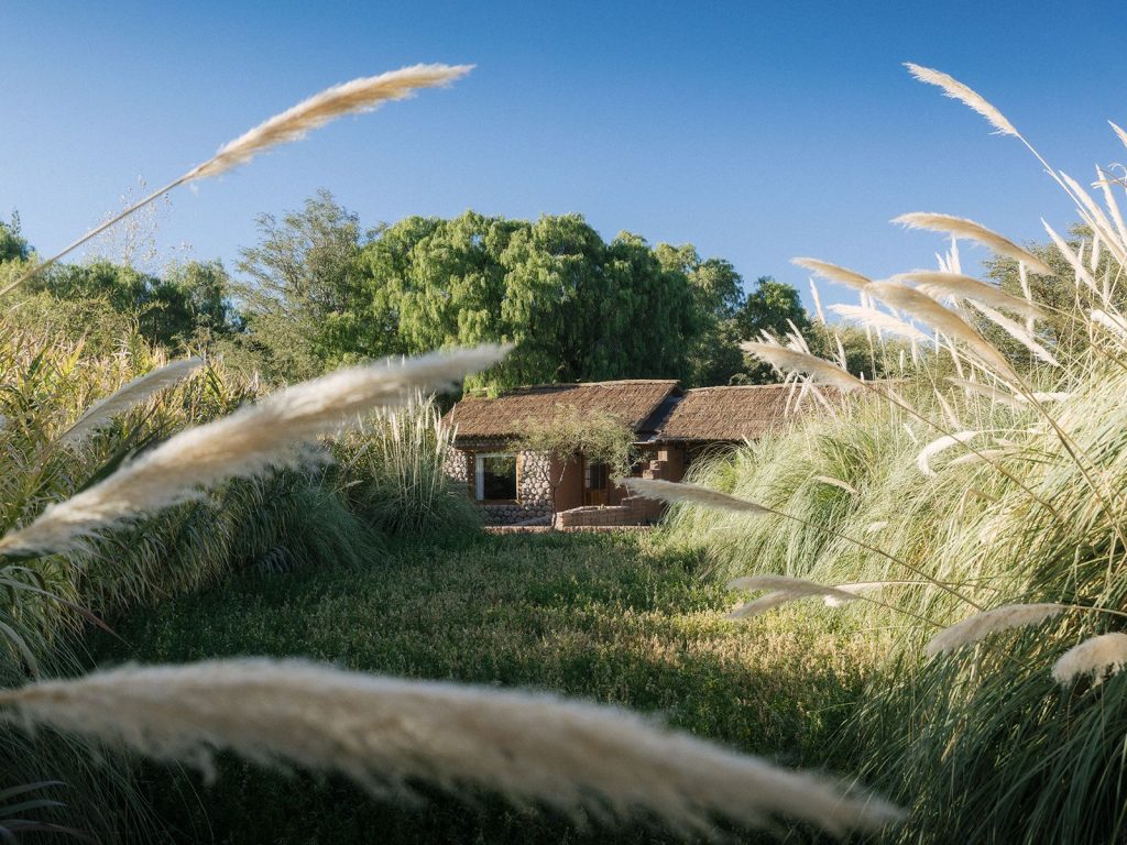 Habitas