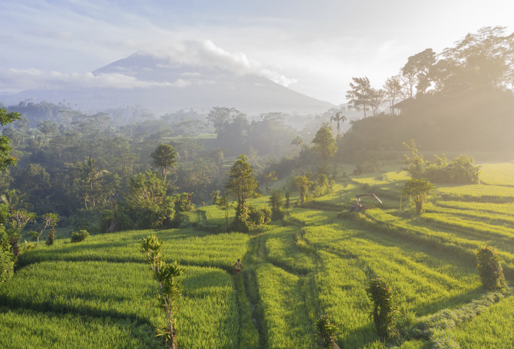 Bali
