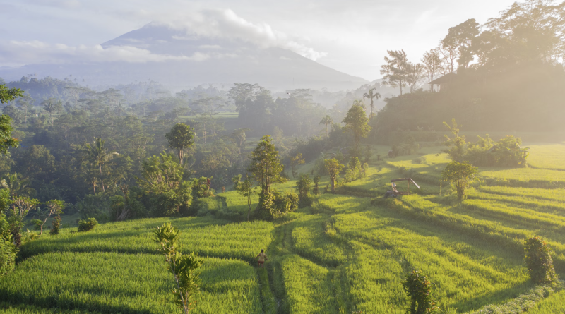 Bali