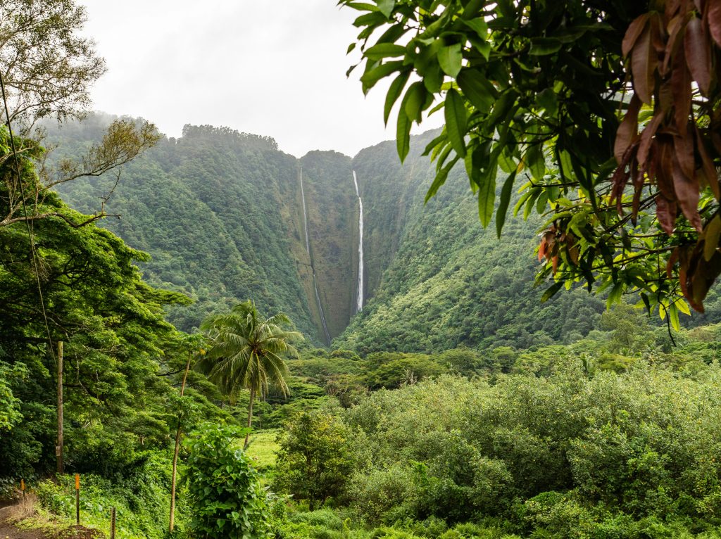 Hawaii Green Tax