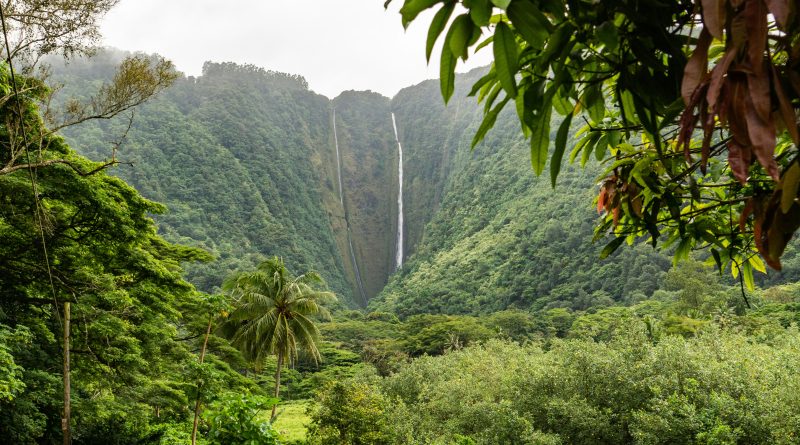 Hawaii Green Tax