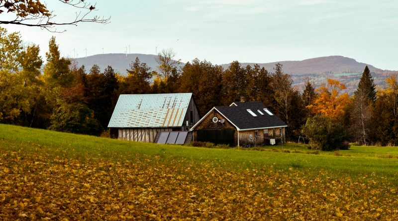 [Credit: LXS Photography via Unsplash]