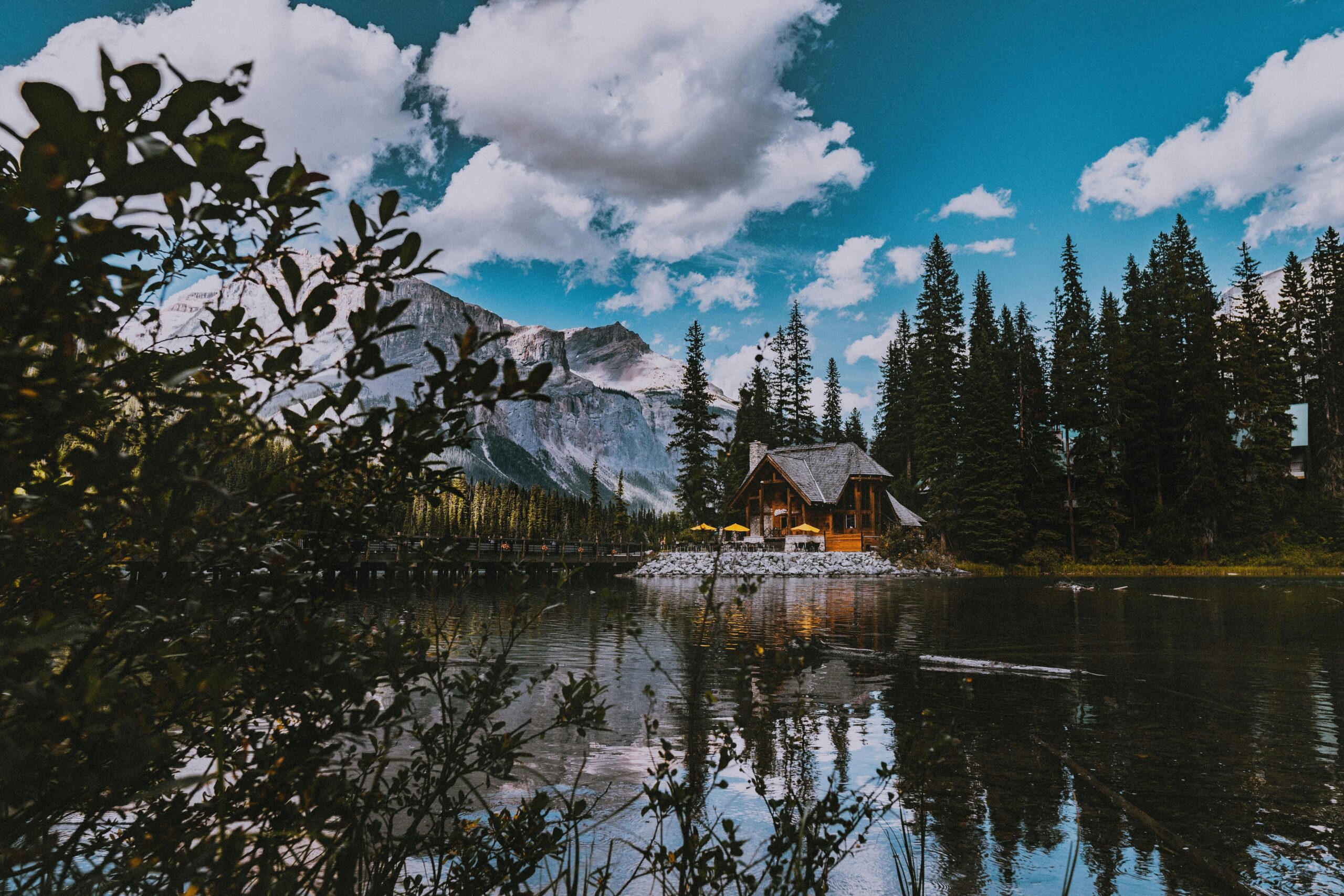 matthew-sichkaruk-hUUIPXXMTeM-unsplash